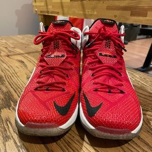 Lebron 12 XII Heart of a Lion Size 13. MINT!
